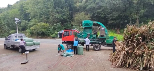 秸秆“变废为宝” 绘就生态经济新图景